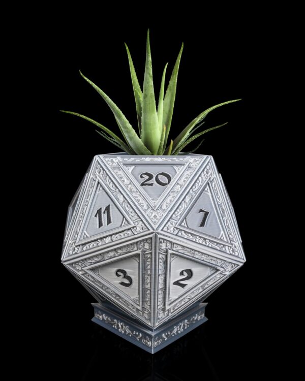 Champion's D20