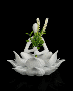 Lotus Keeper