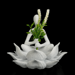 Lotus Keeper
